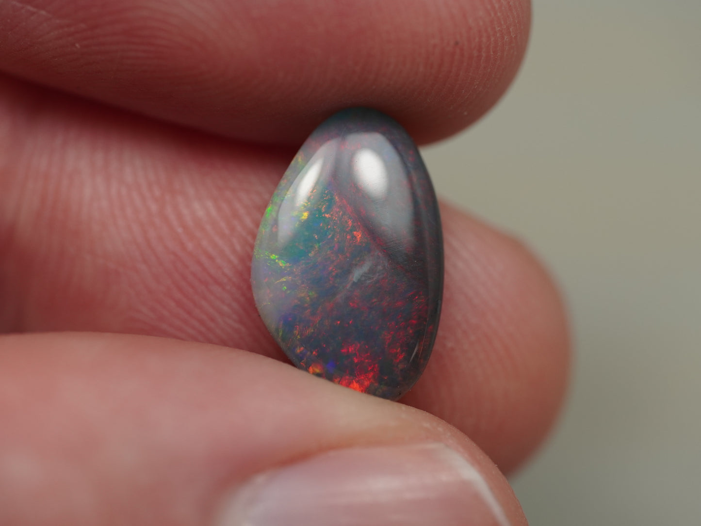 Black Opal BGB409