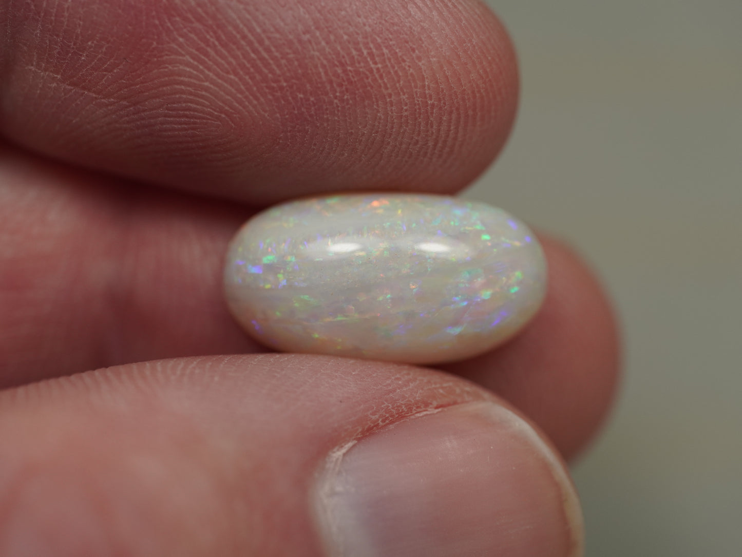 Light Opal BPD566