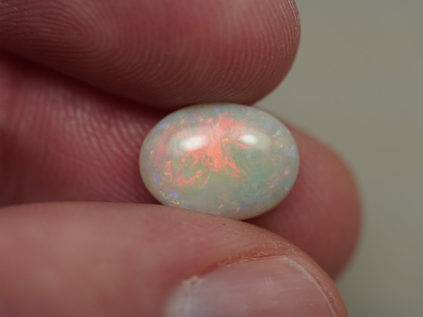 Light Opal CDB646