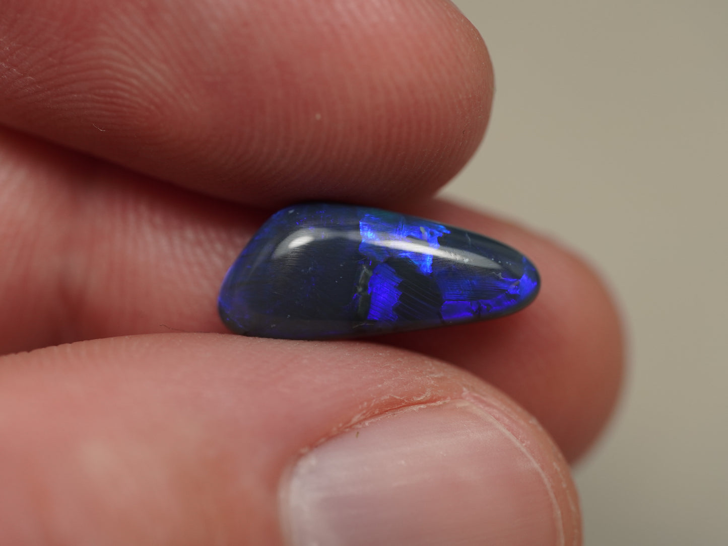 Black Opal DFL795