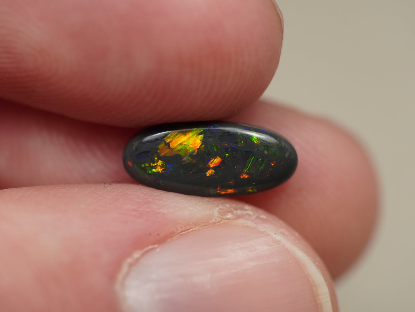 Black Opal DSS861