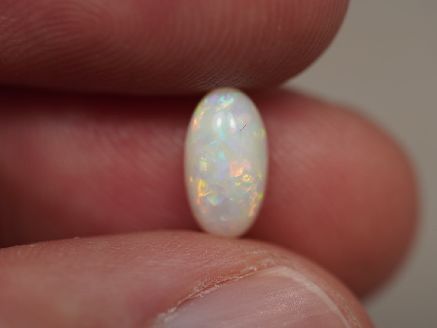 Light Opal EBV890