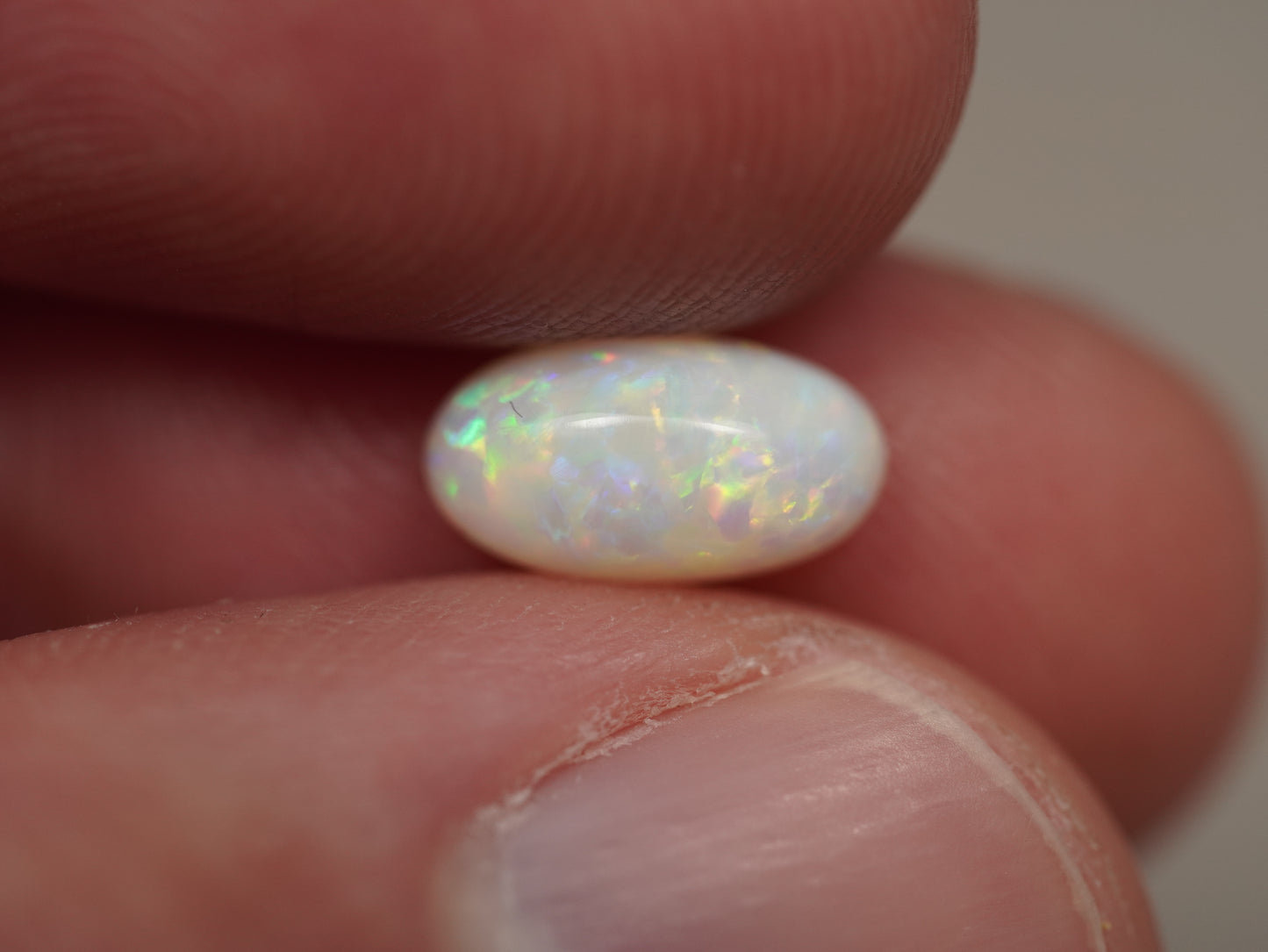 Light Opal EBV890