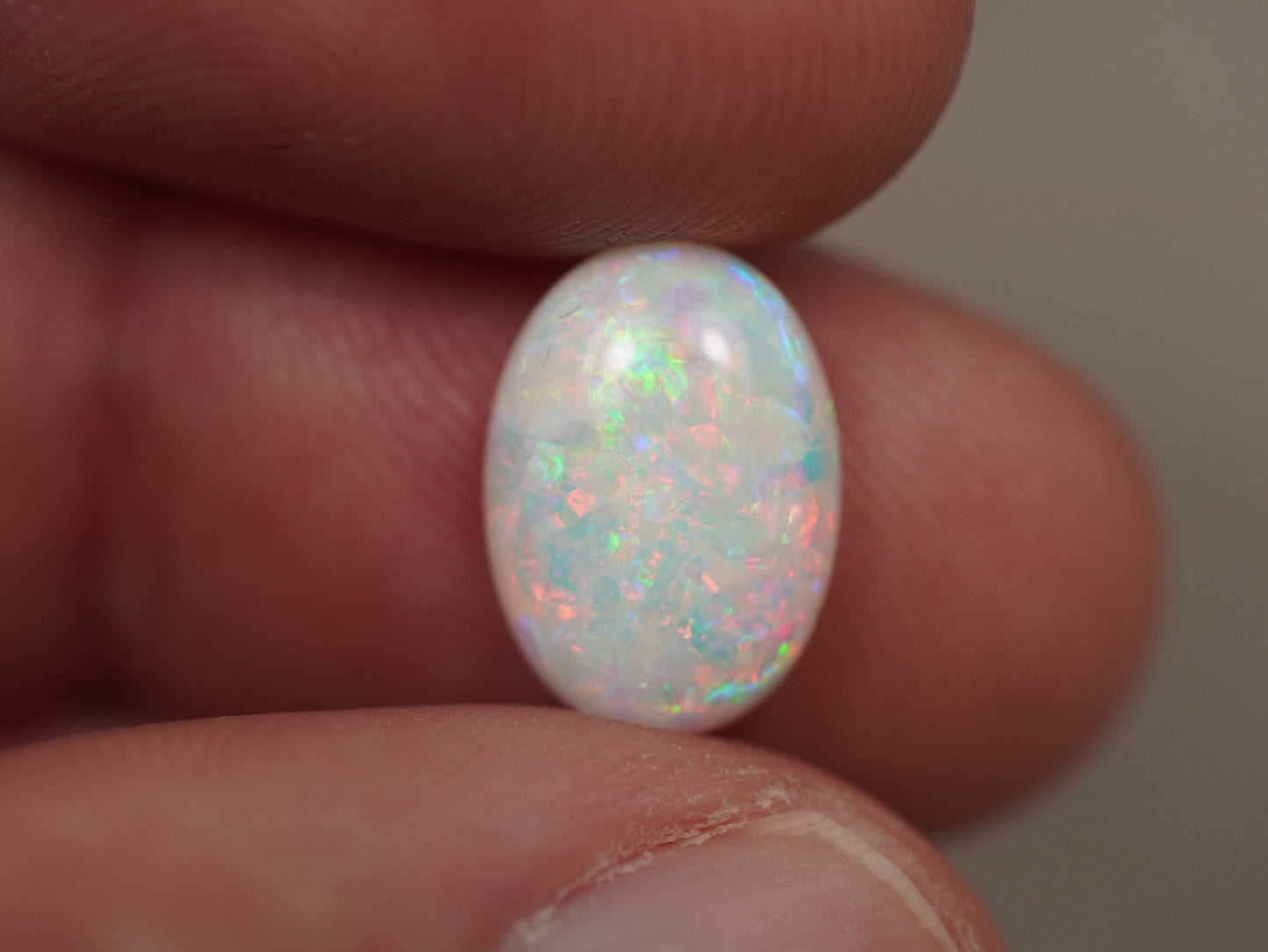 Light Opal EBV878