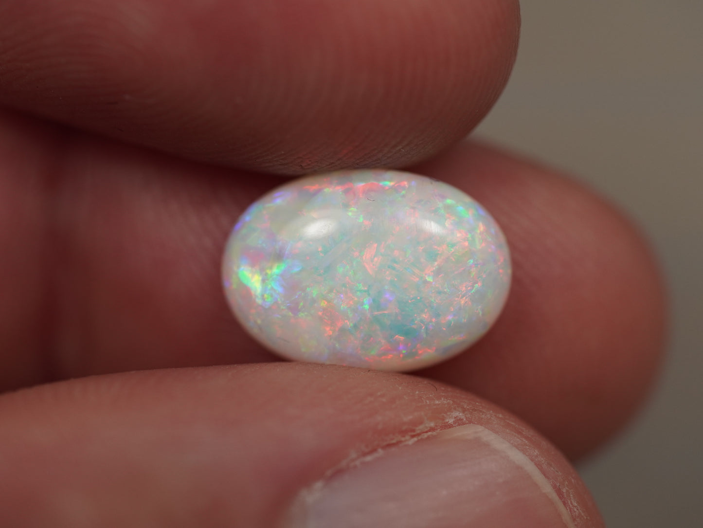 Light Opal EBV878
