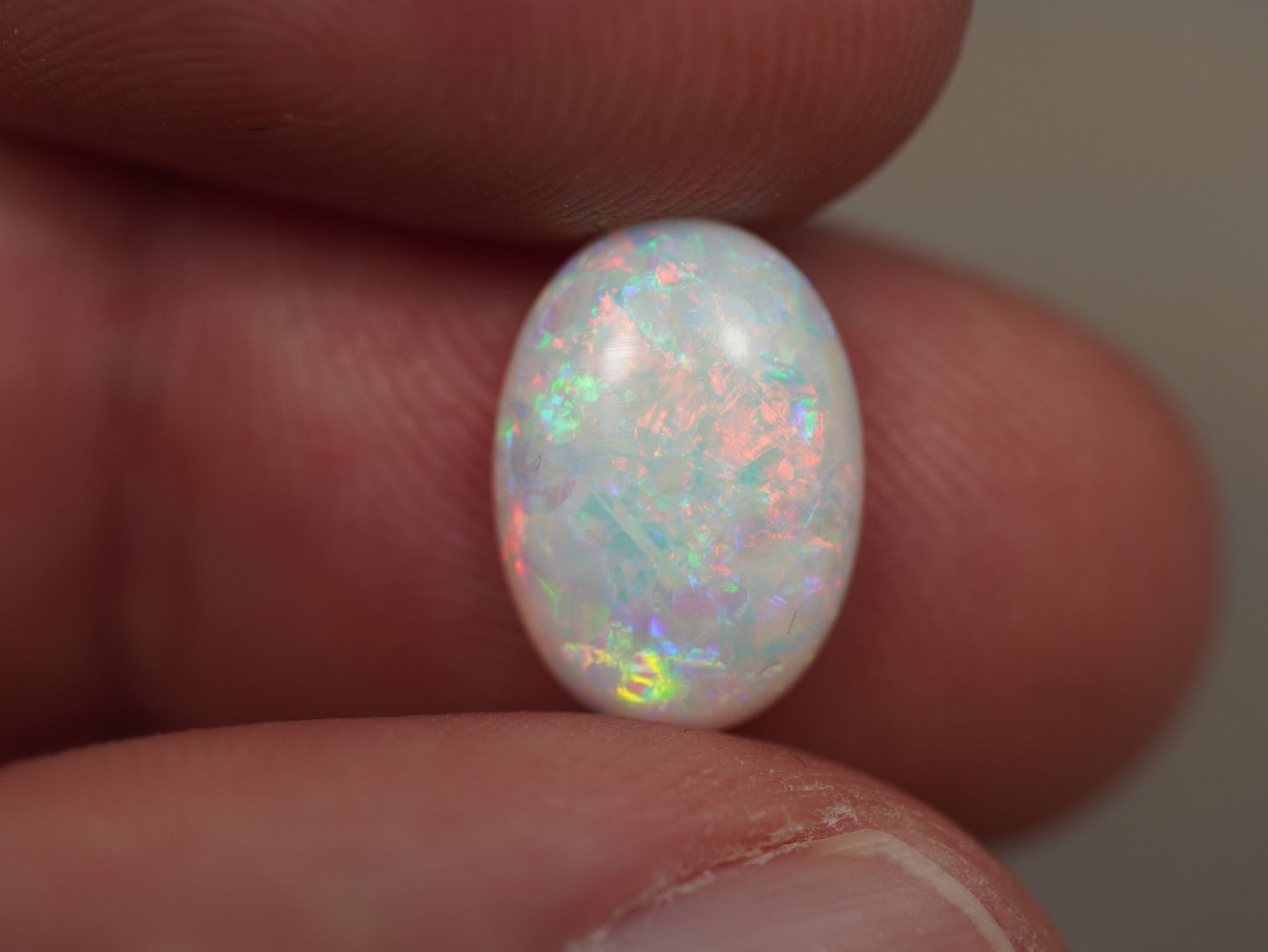 Light Opal EBV878