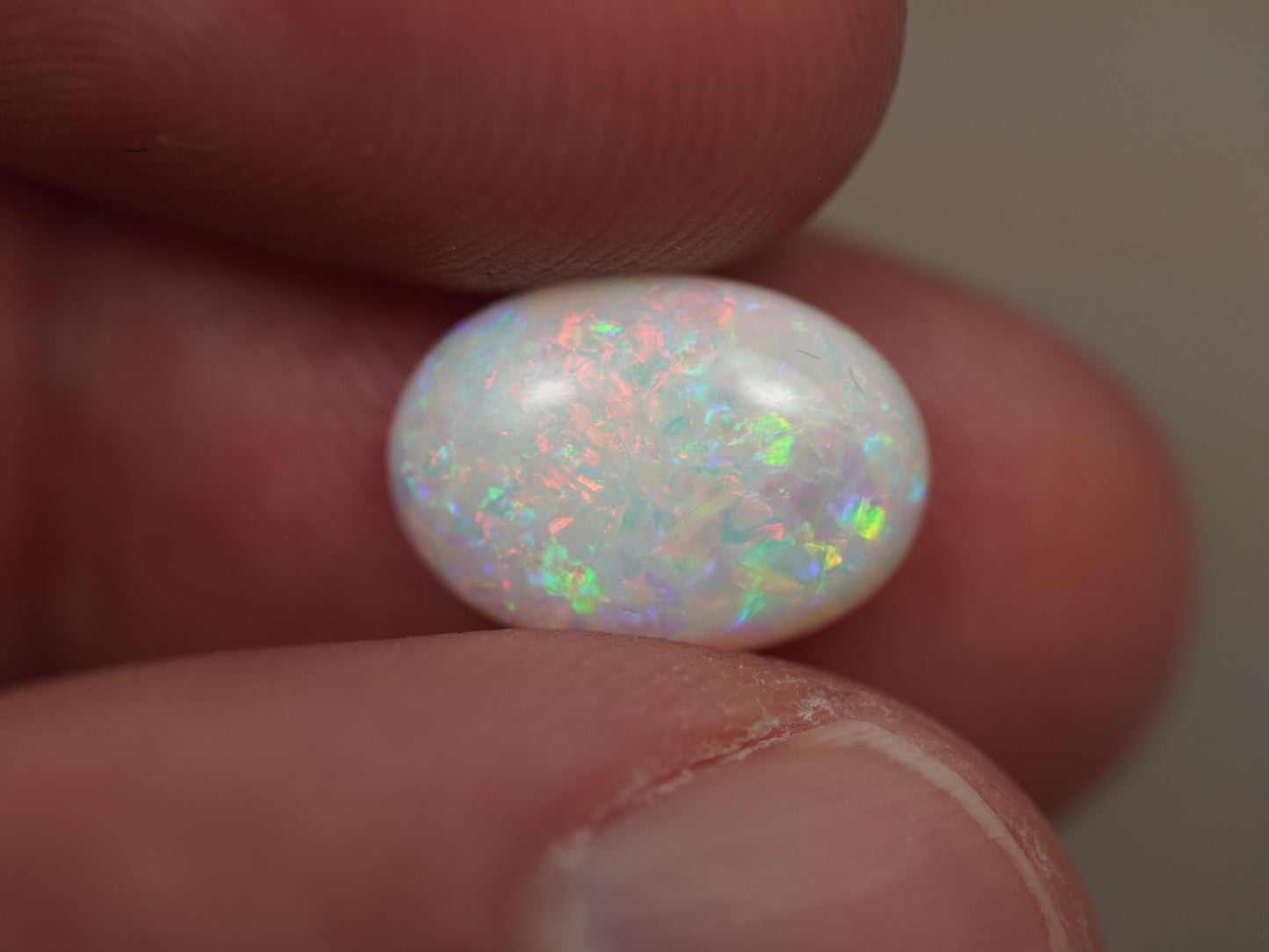 Light Opal EBV878
