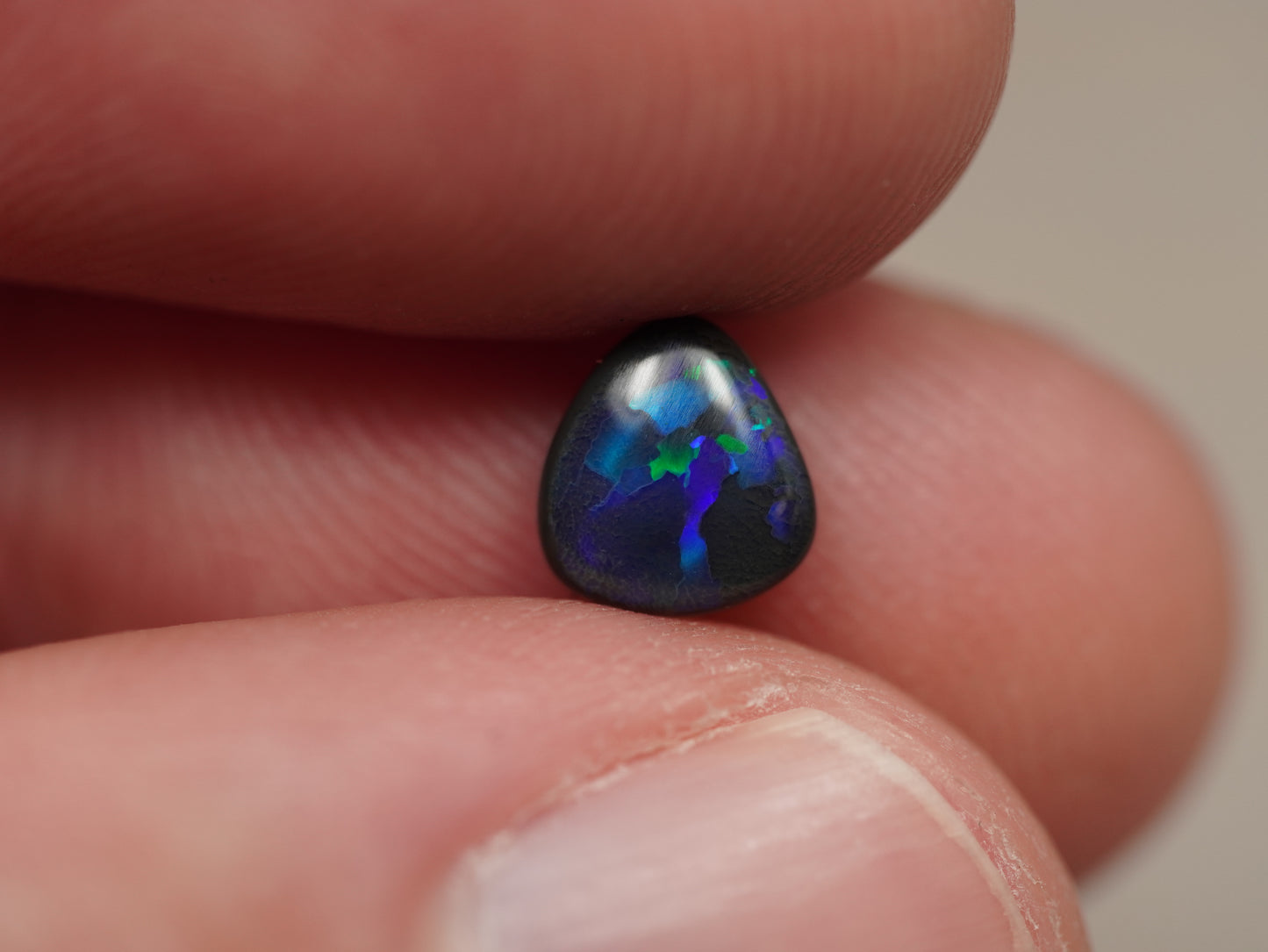 Black Opal EBV882