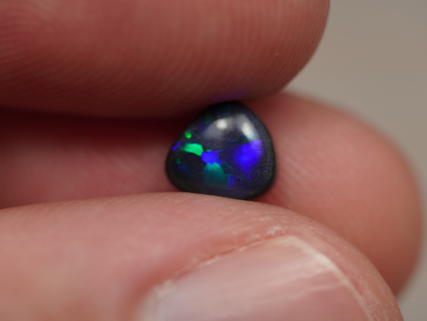 Black Opal EBV882