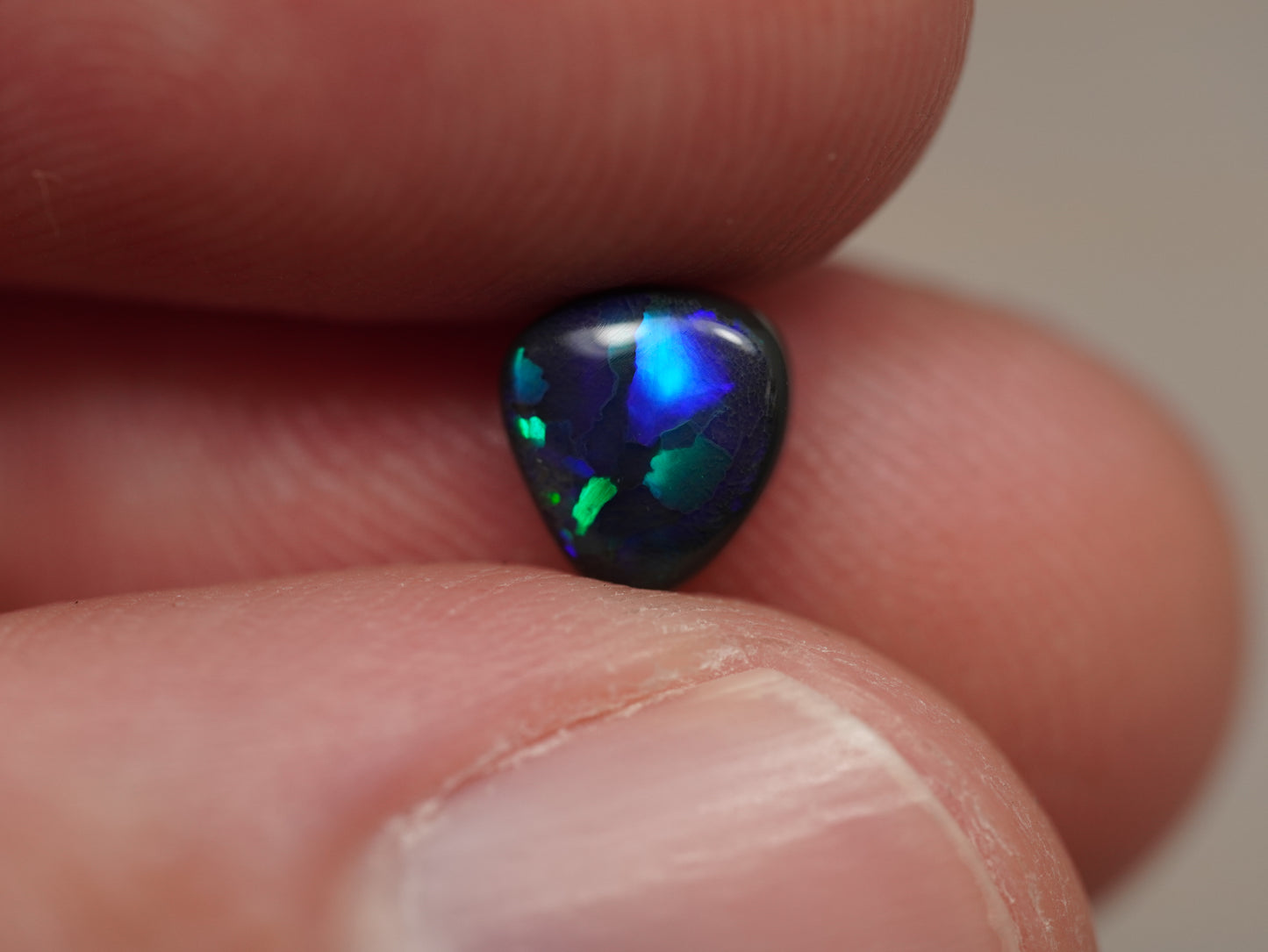 Black Opal EBV882