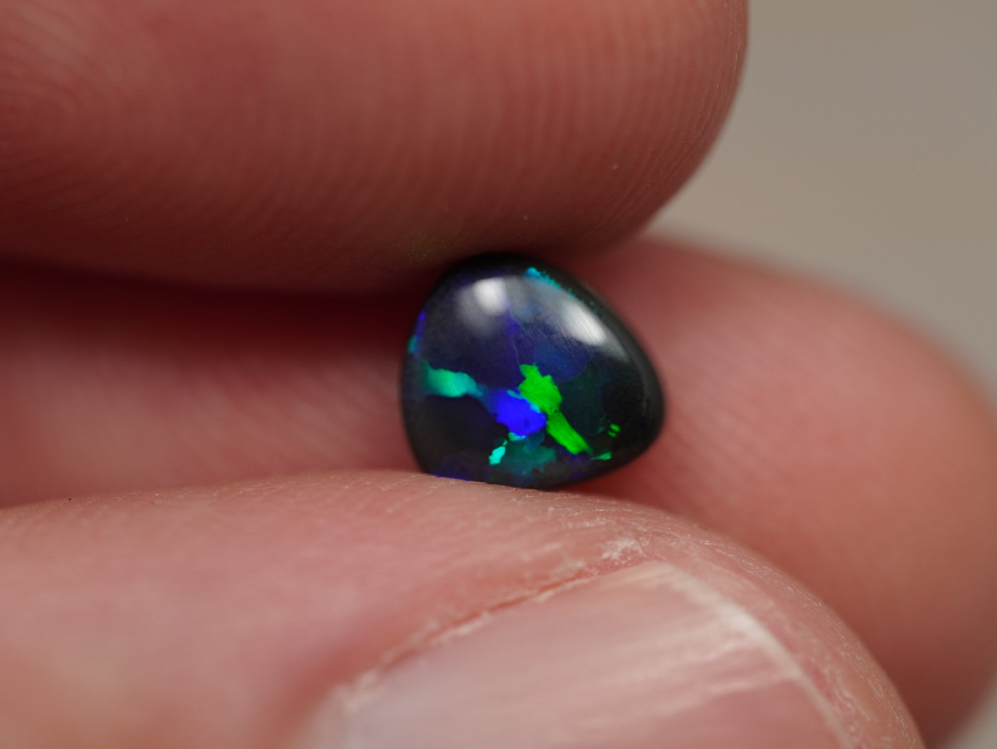 Black Opal EBV882