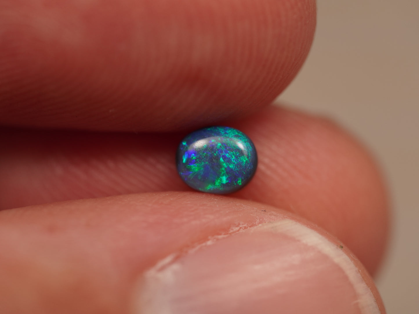 Black Opal DHS907