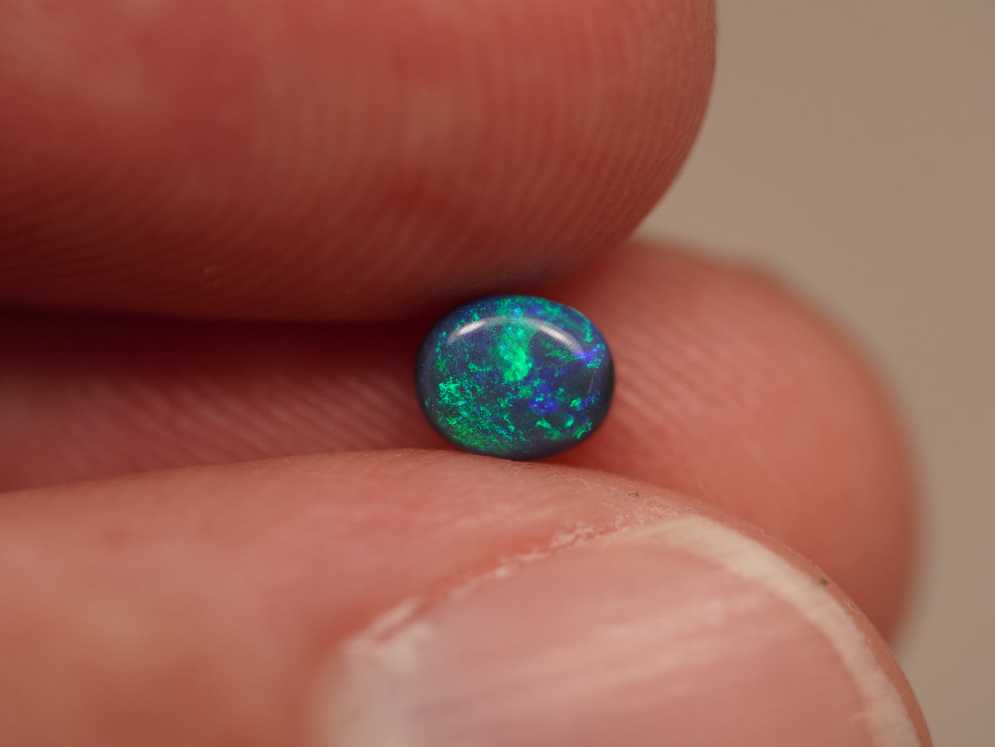 Black Opal DHS907
