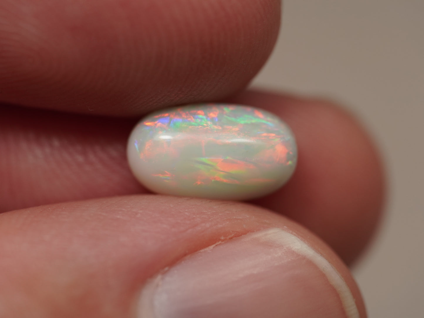 Light Opal EDK919