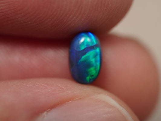 Black Opal EDK923