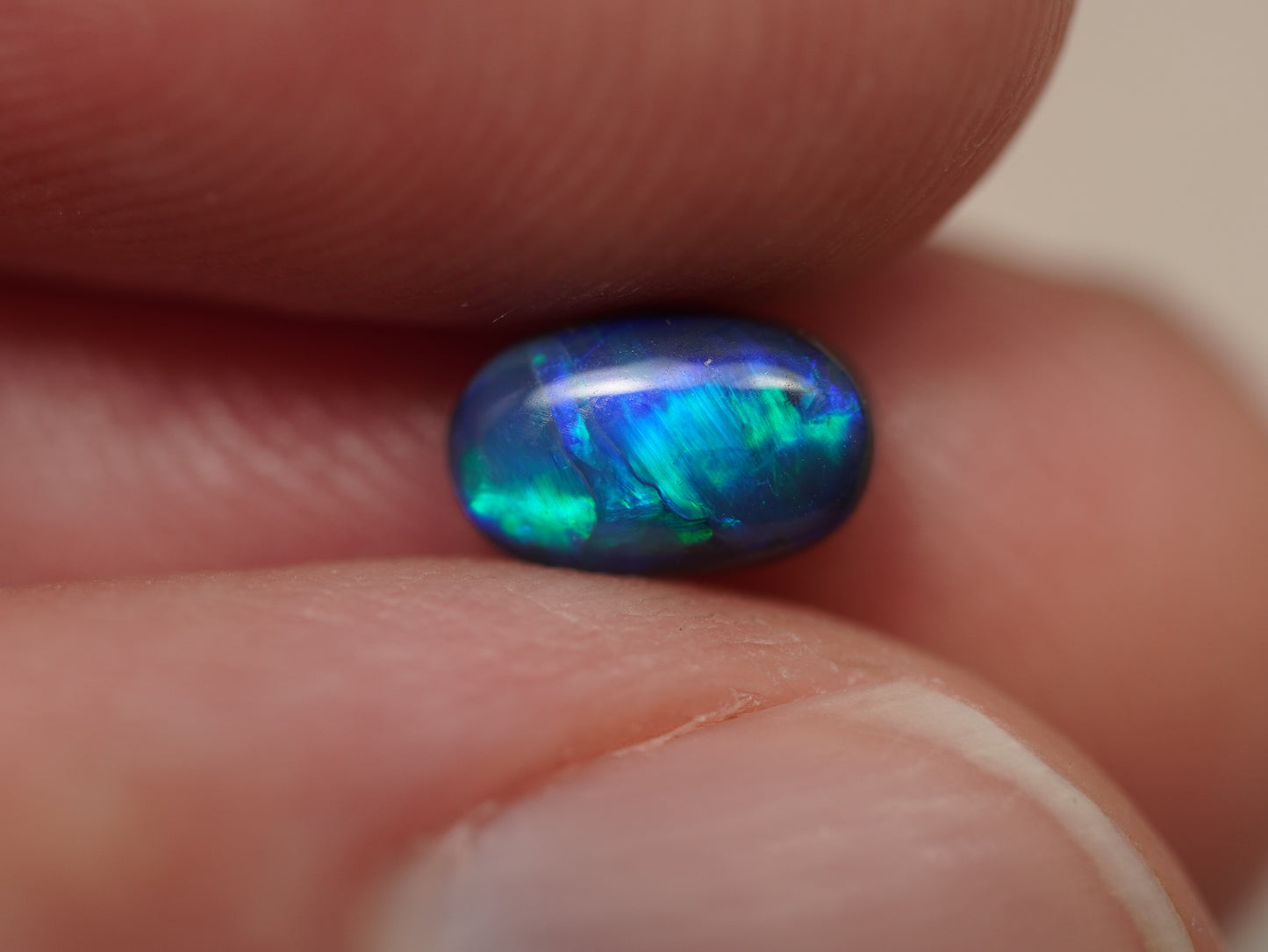 Black Opal EDK923