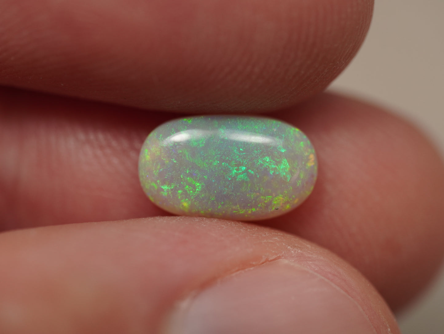 Light Opal EDK931