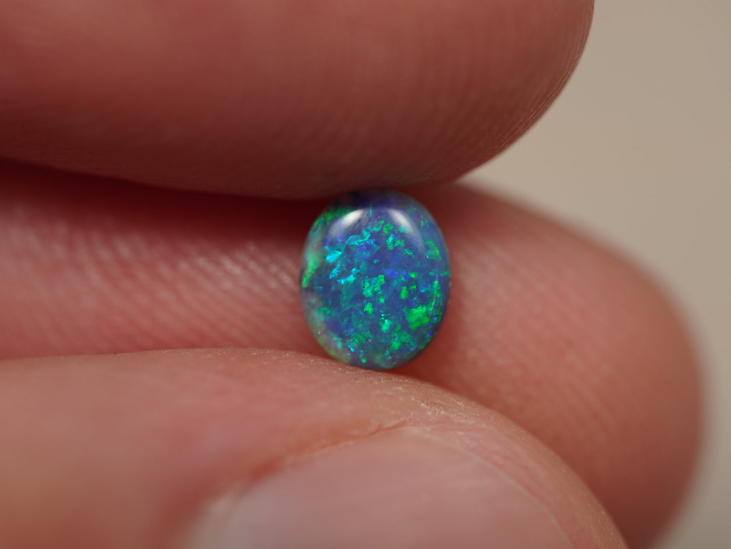 Black Opal EDK934