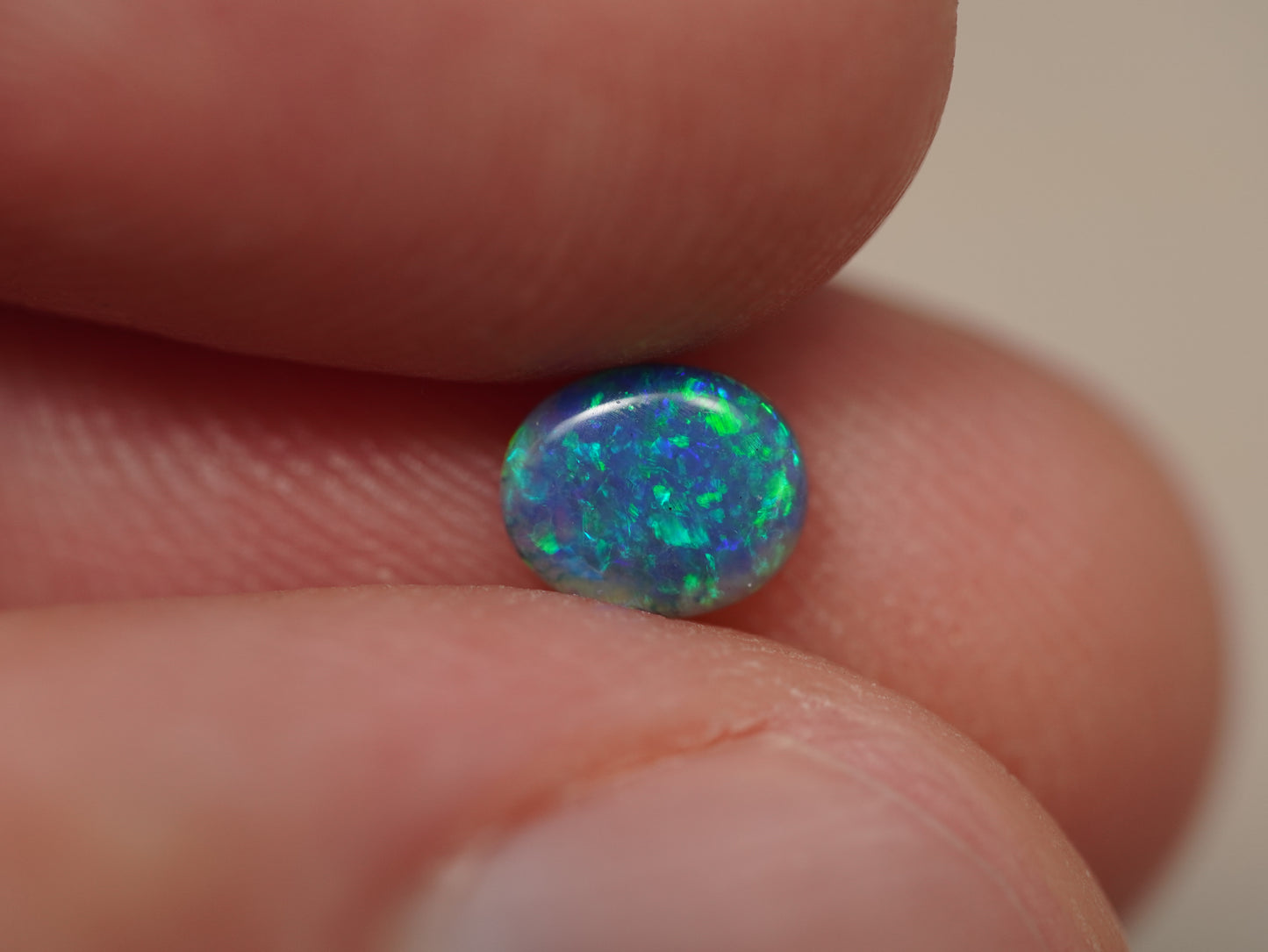Black Opal EDK934