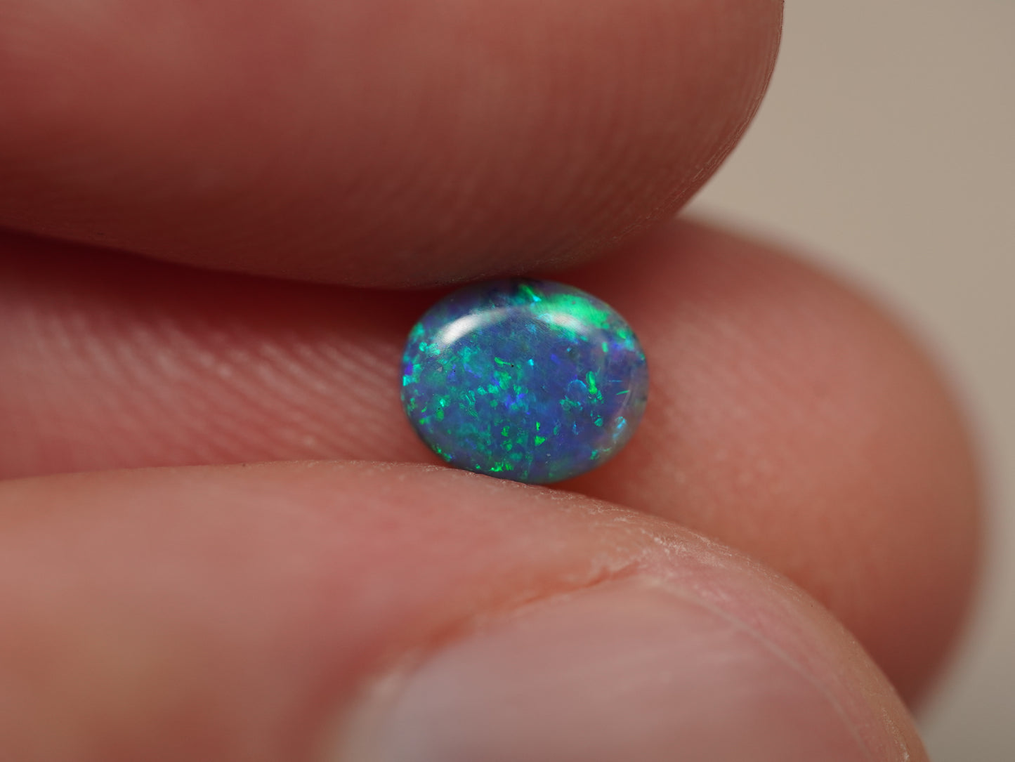 Black Opal EDK934