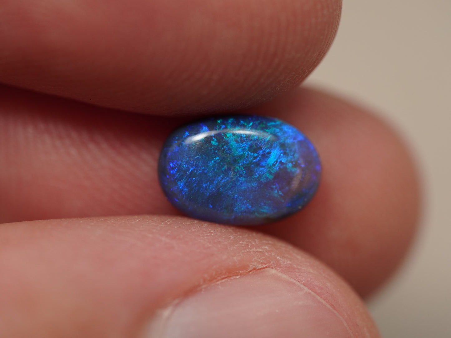 Black Opal EDK941