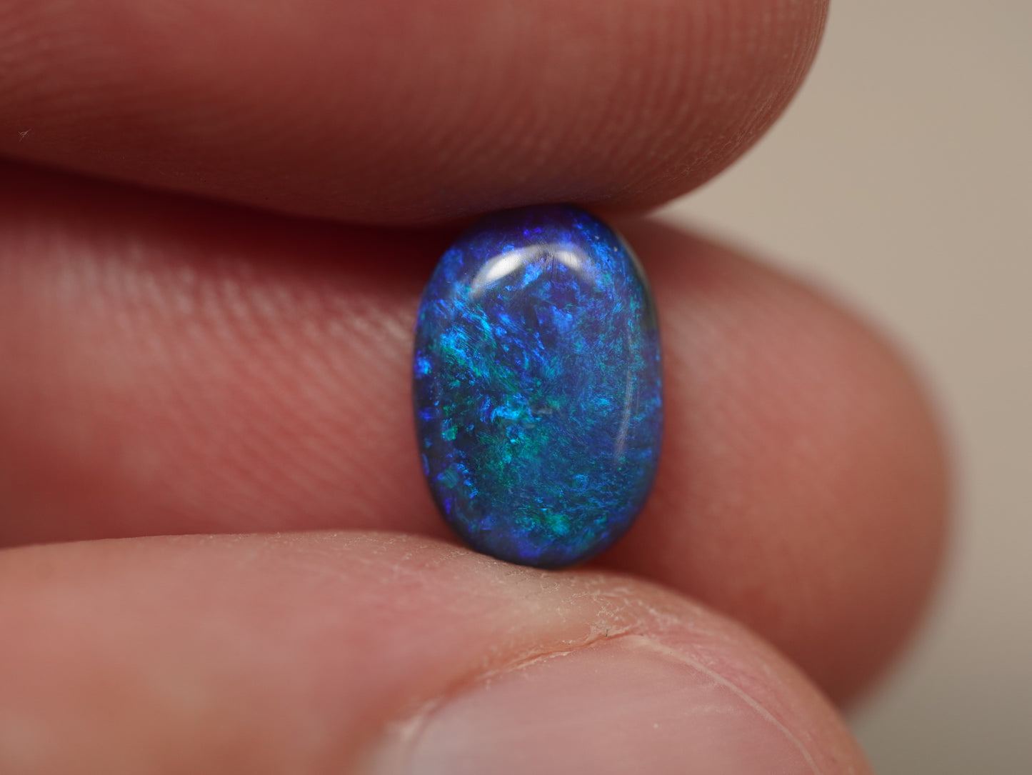 Black Opal EDK941