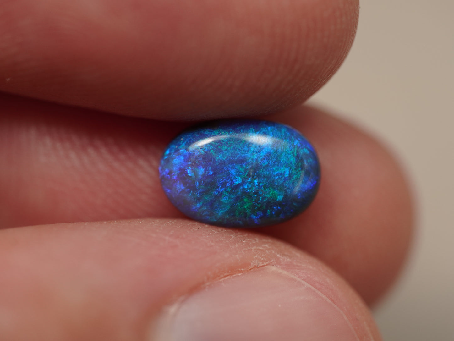 Black Opal EDK941
