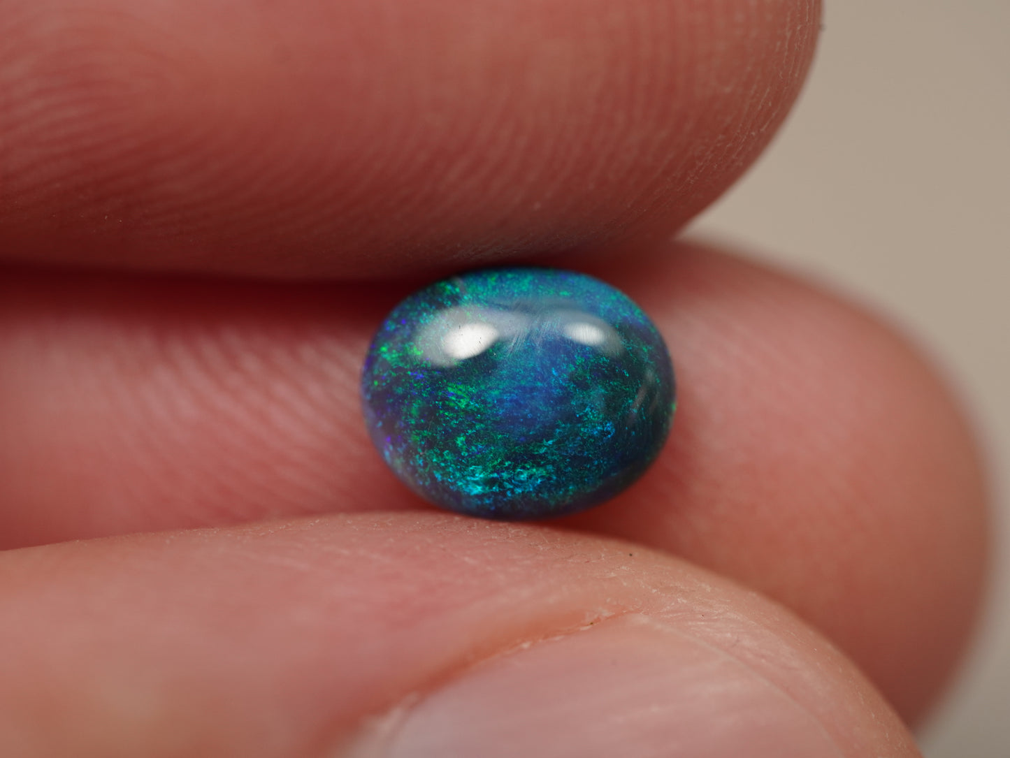 Black Opal EDK946