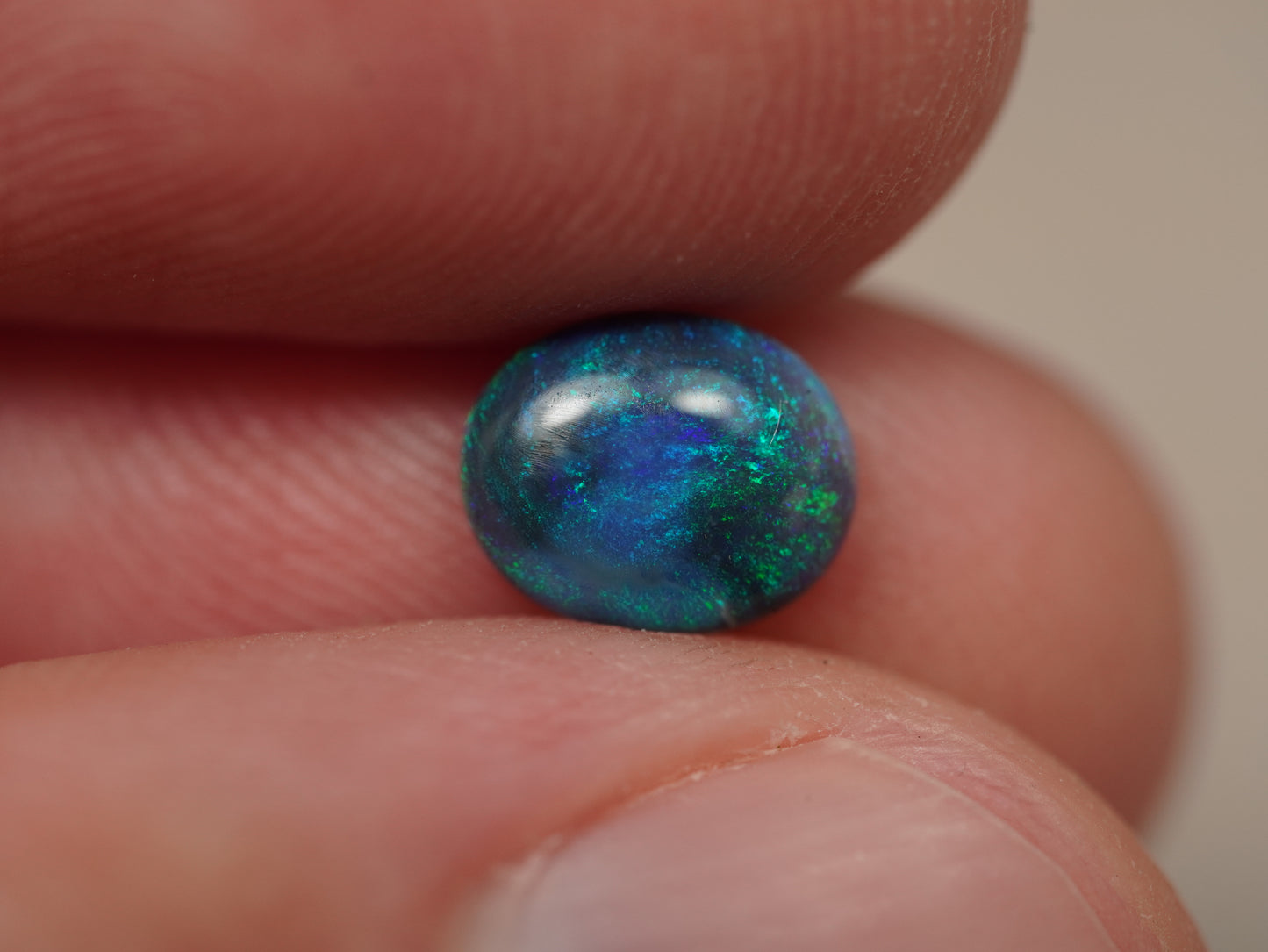 Black Opal EDK946