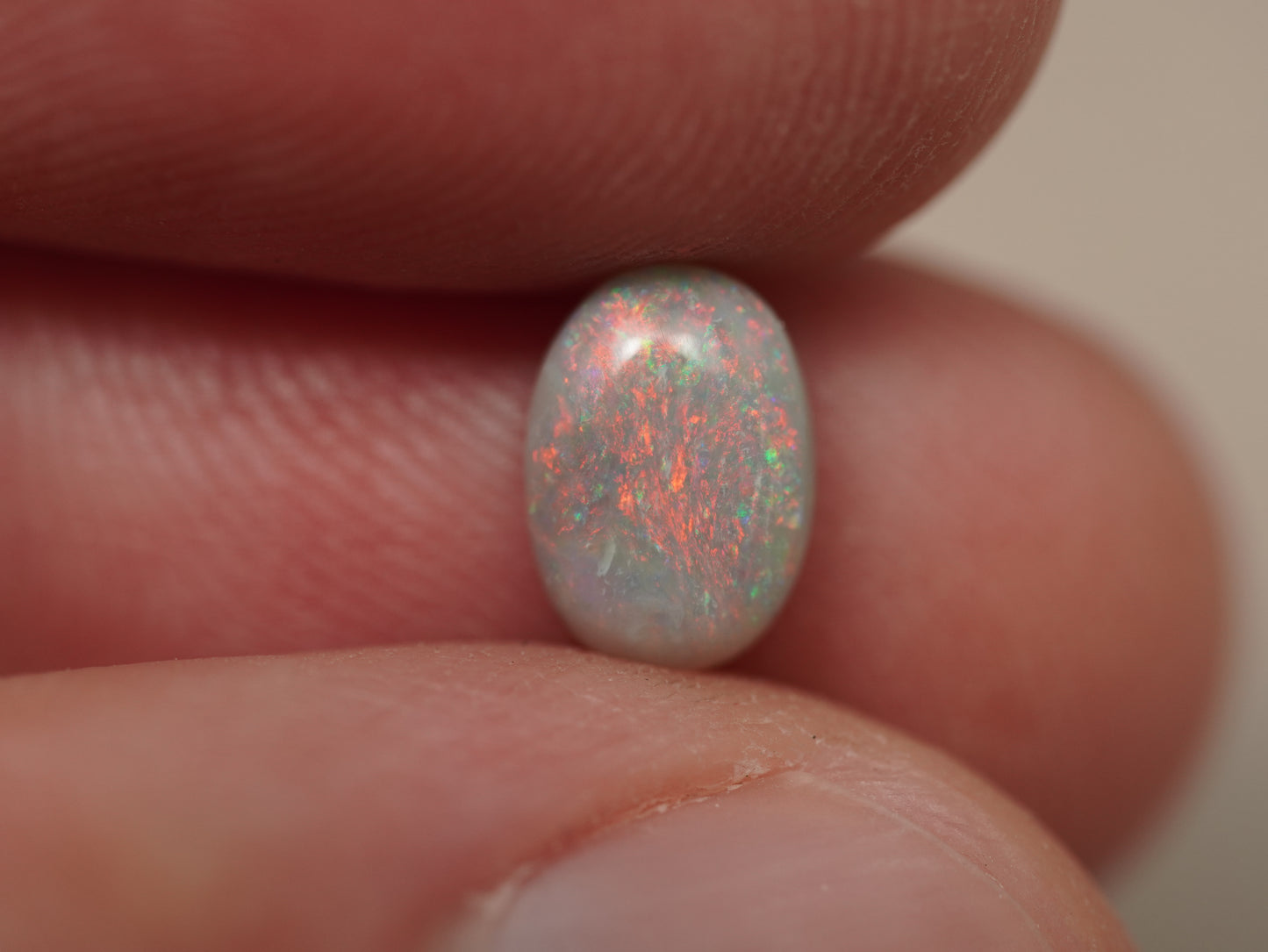 Dark Opal EDK950