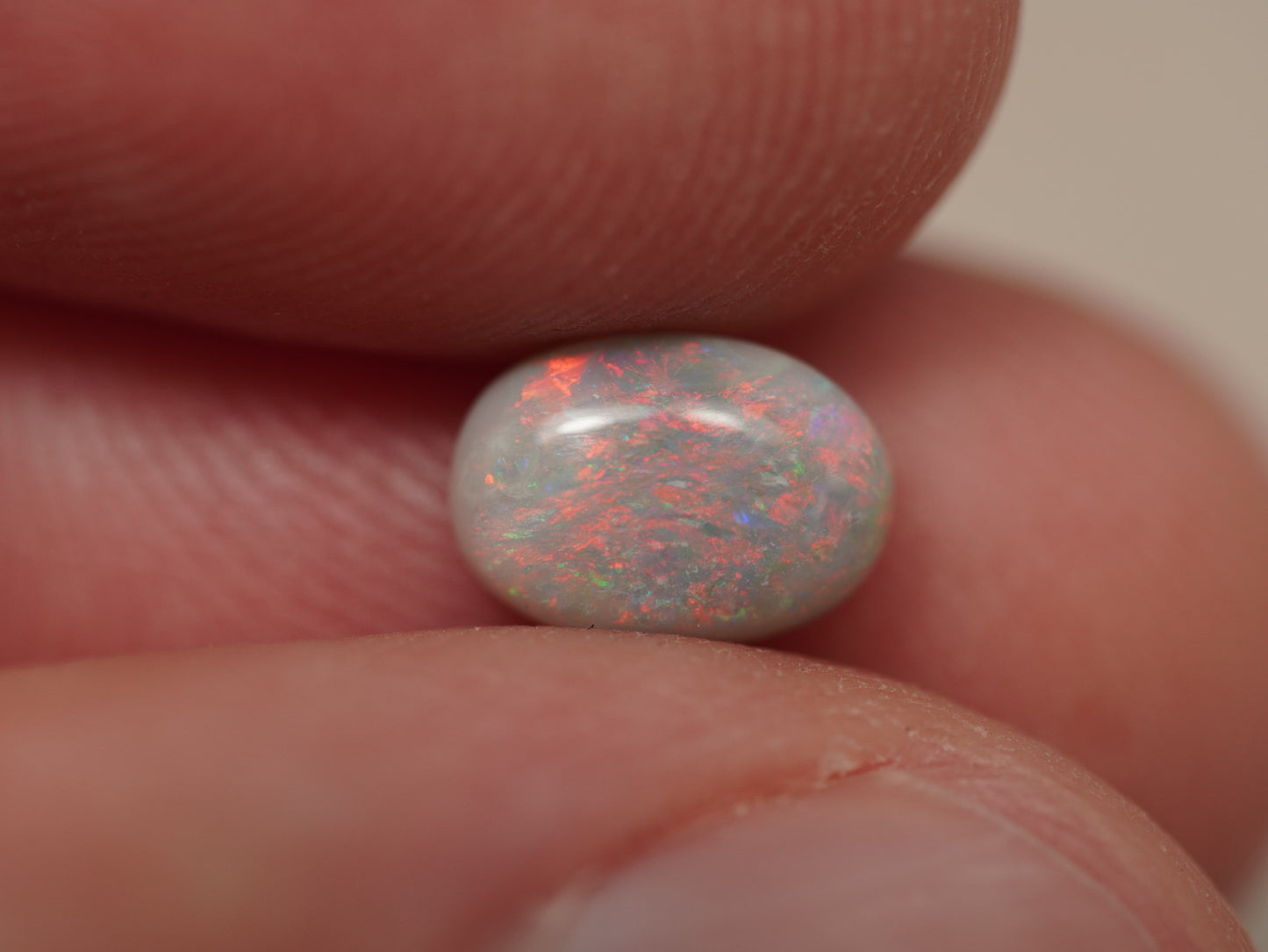 Dark Opal EDK950