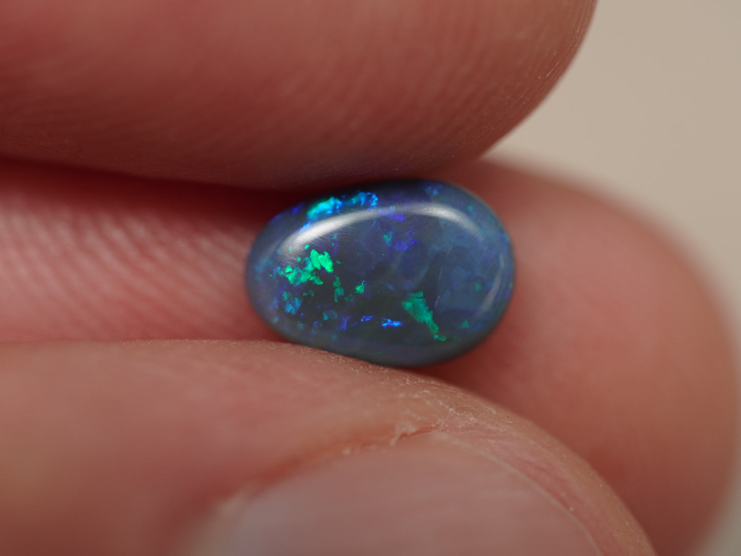 Black Opal EDK952