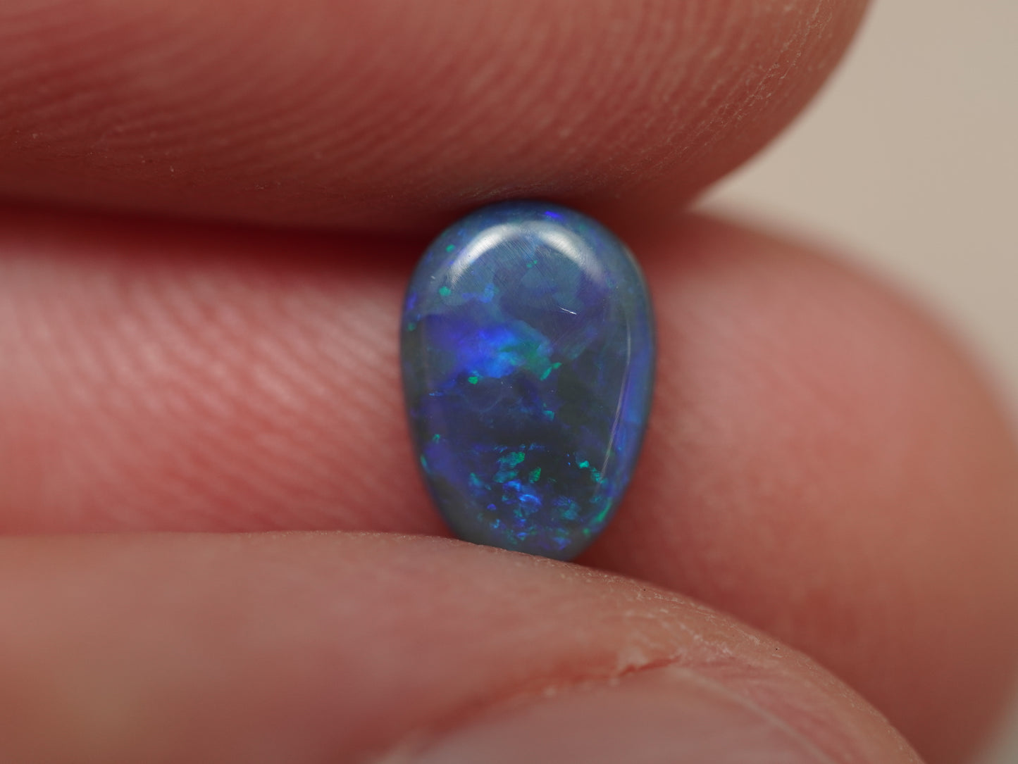 Black Opal EDK952