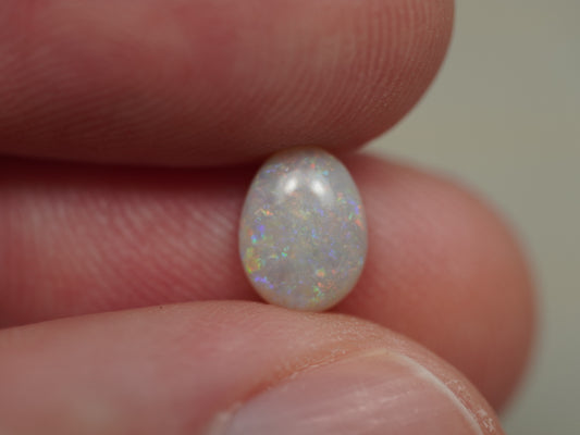 Heller Opal BOB529