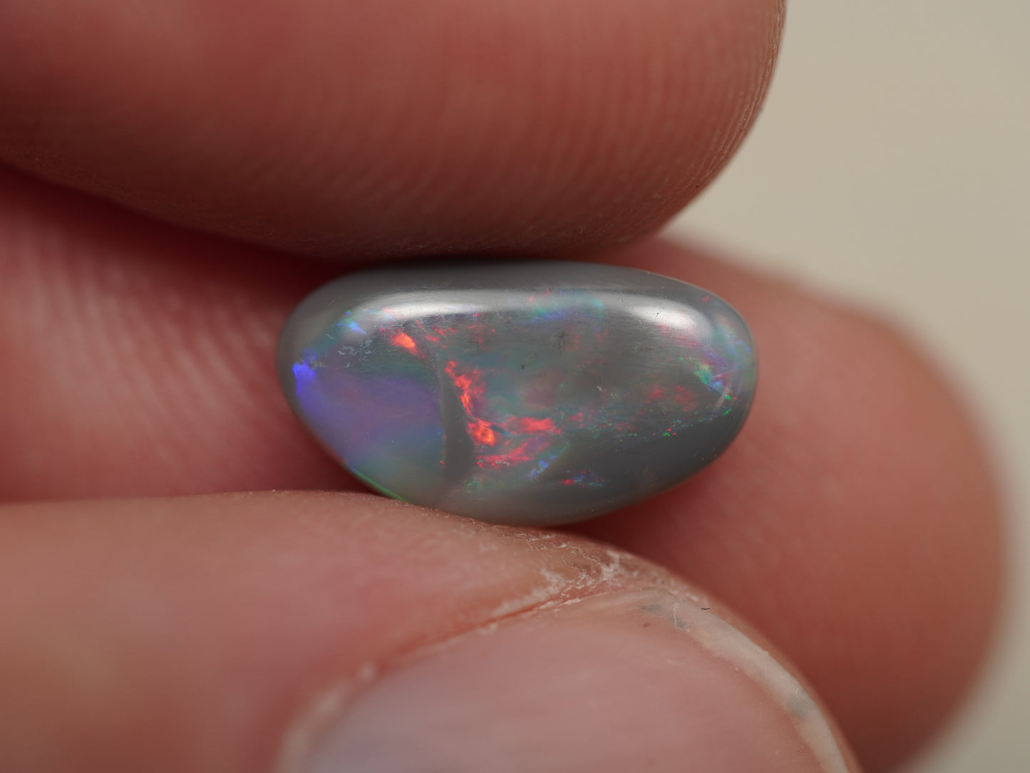 Dark Opal DCB774