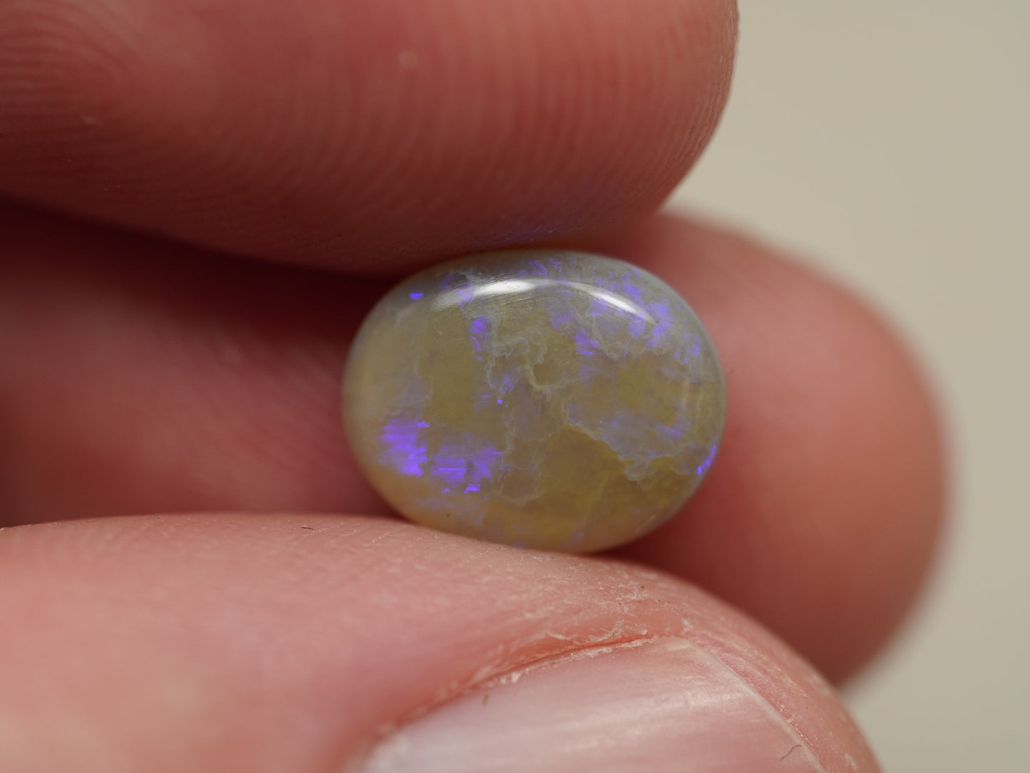 Dark Opal BIH796