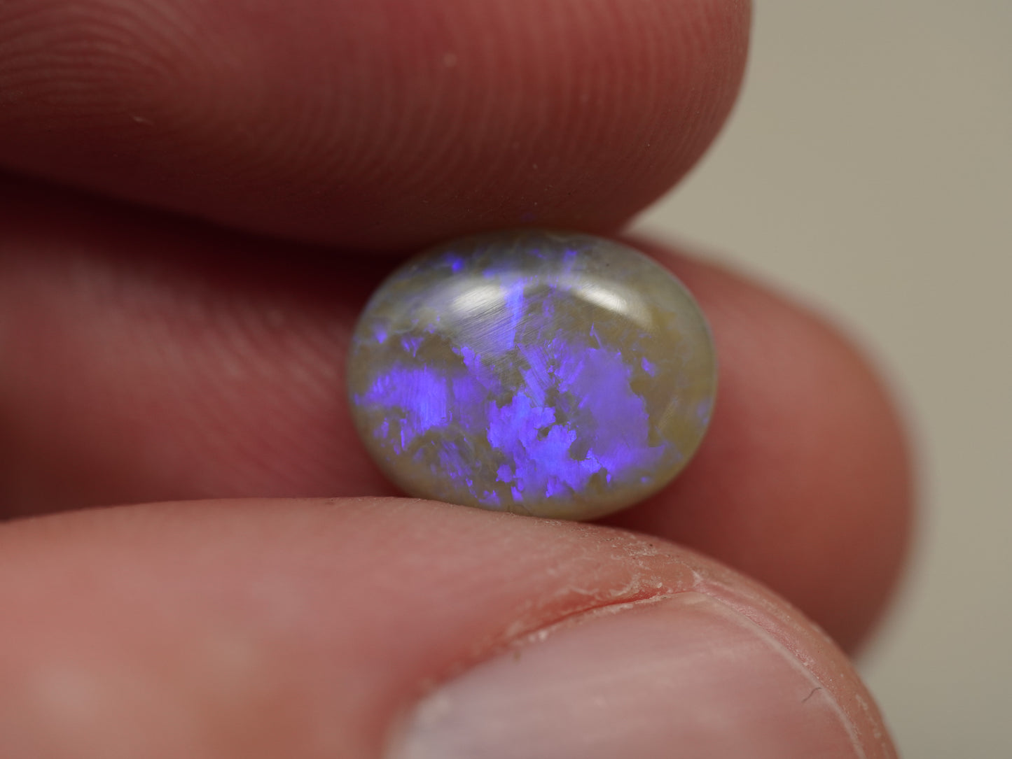 Dark Opal BIH796