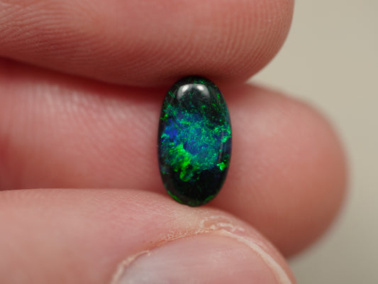 Black Opal DSS848