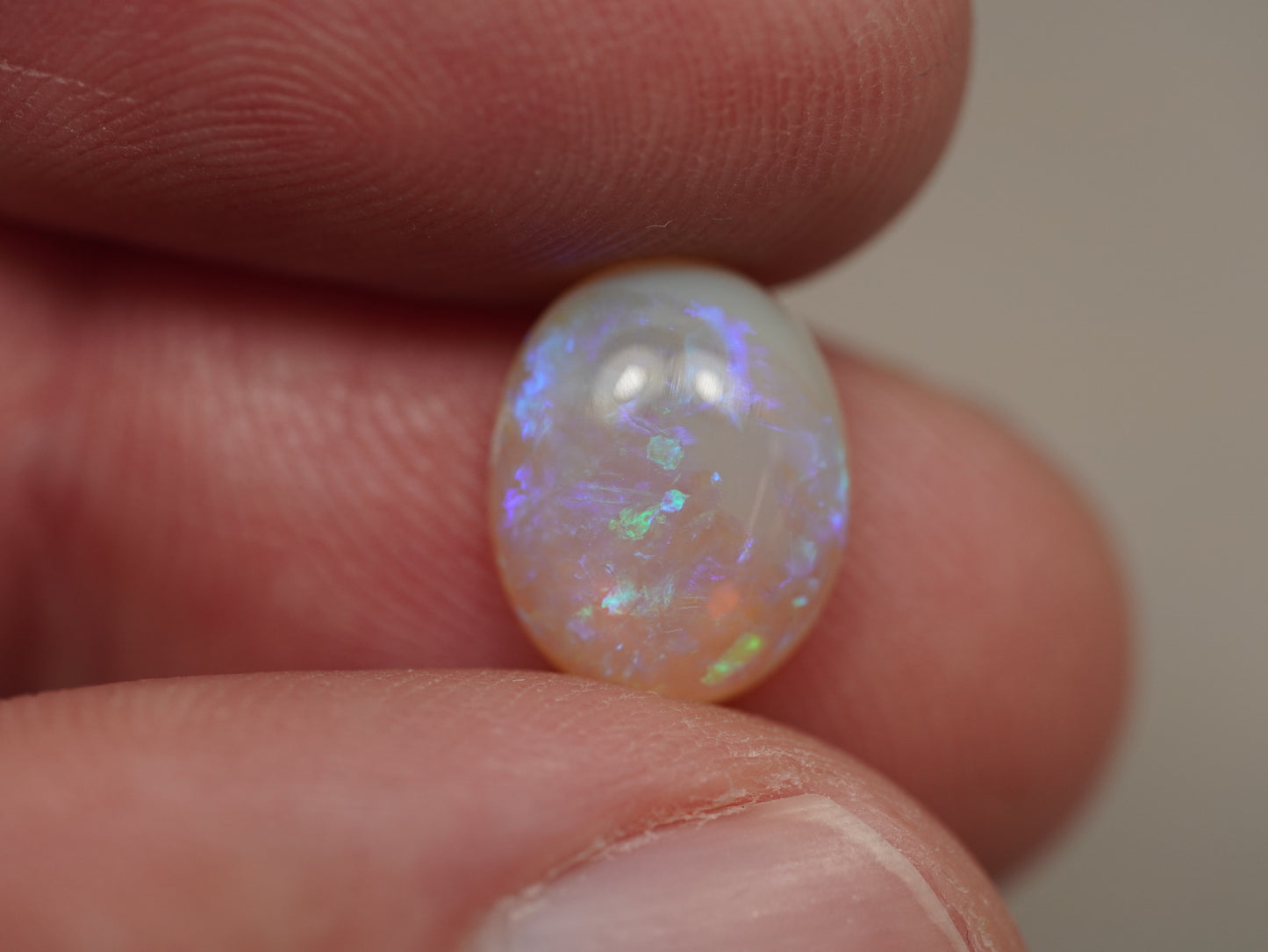Cristal Opale EBV886