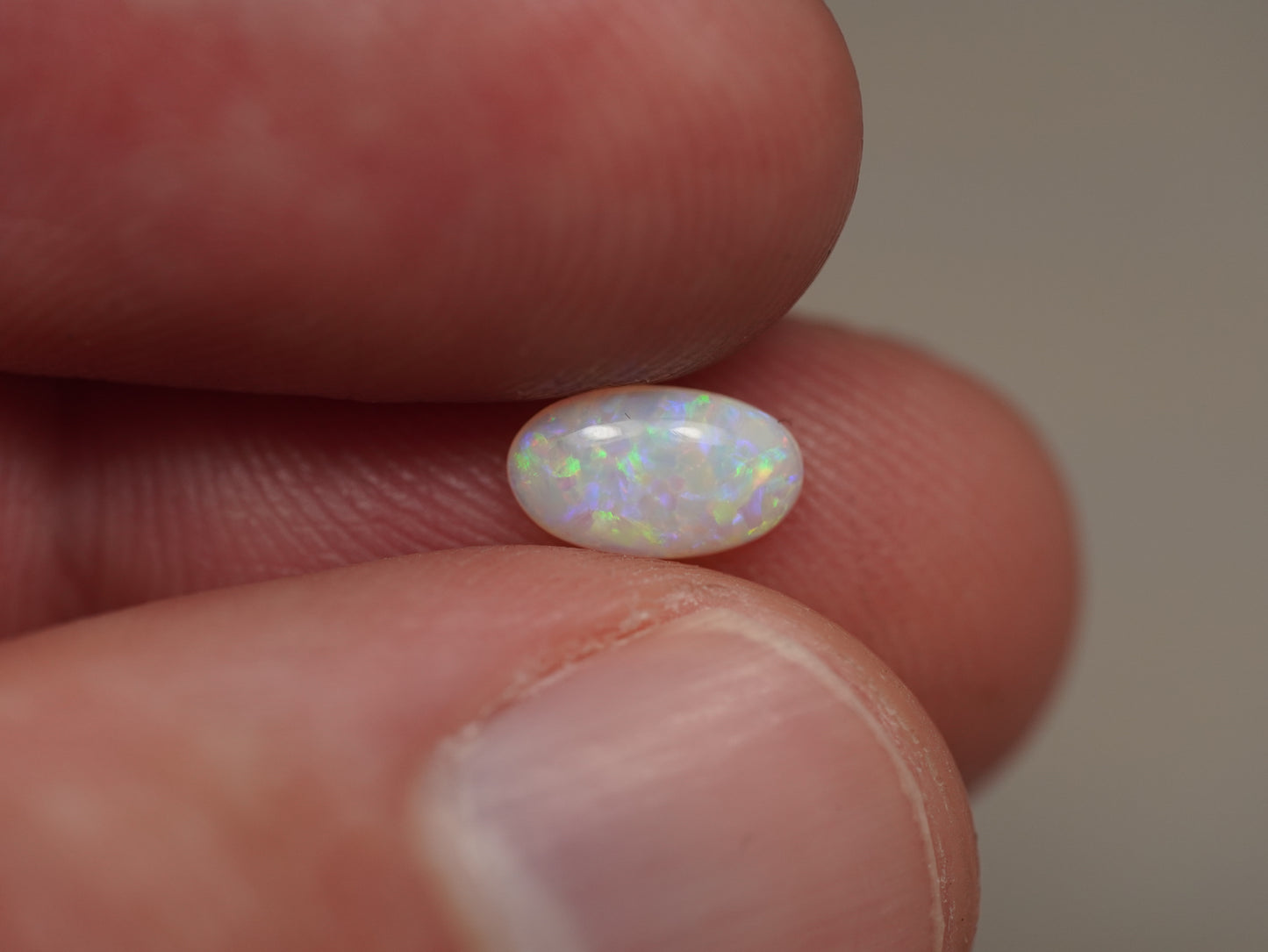 Light Opal EBV891