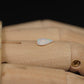 Light Opal EBV879