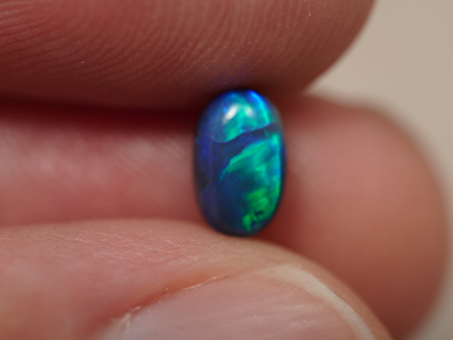 Schwarzer Opal EDK923