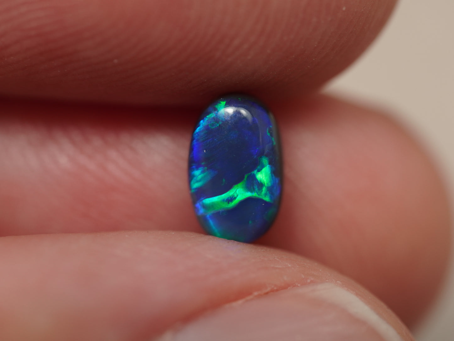 Schwarzer Opal EDK923