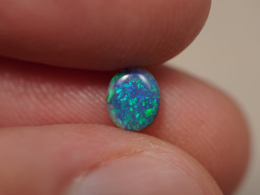 Black Opal EDK934