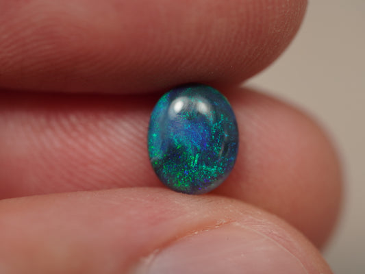 Black Opal EDK946