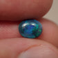 Black Opal EDK946
