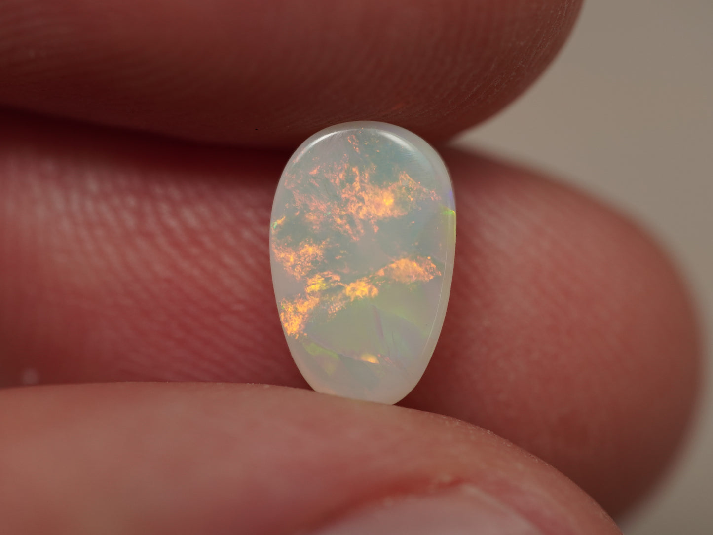 Light Opal EDK947