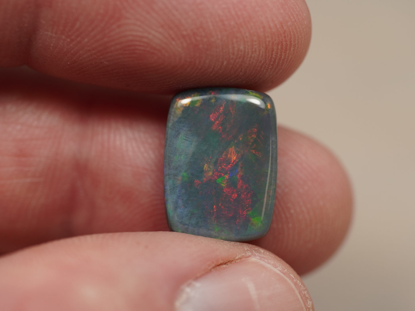 Black Opal EFS956