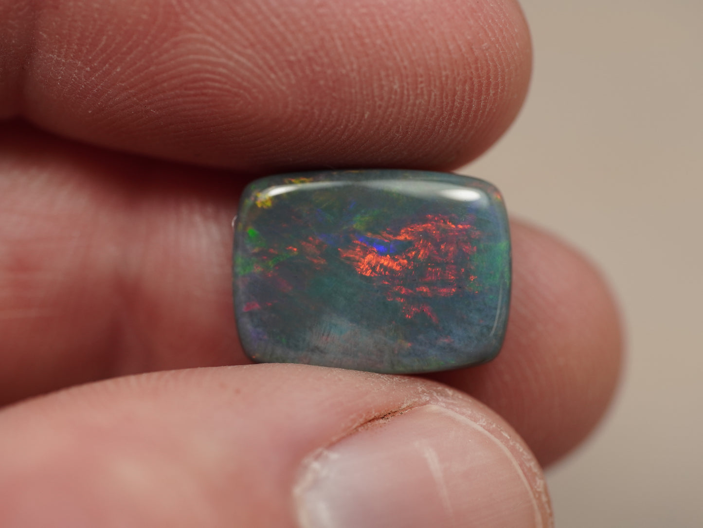 Black Opal EFS956