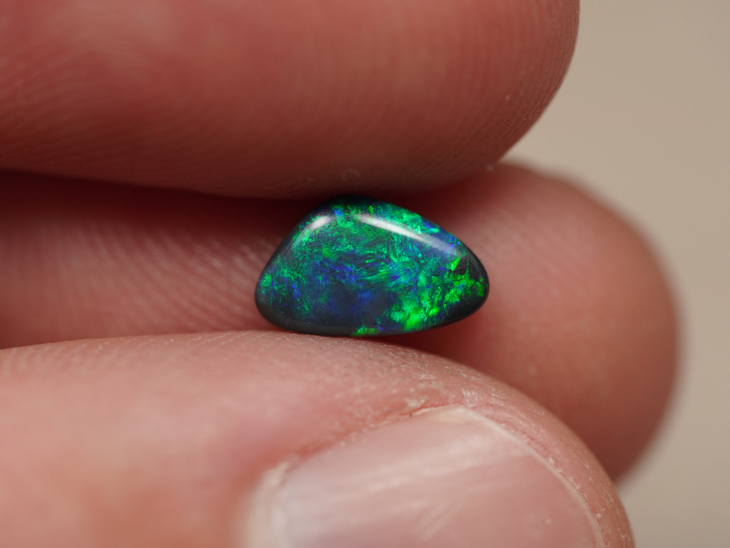 Black Opal FCP029
